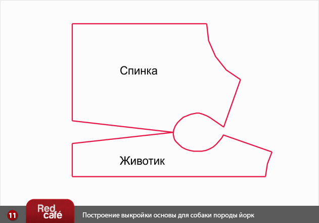 Как сшить майку для собаки своими руками Как сшить майку для собаки своими руками