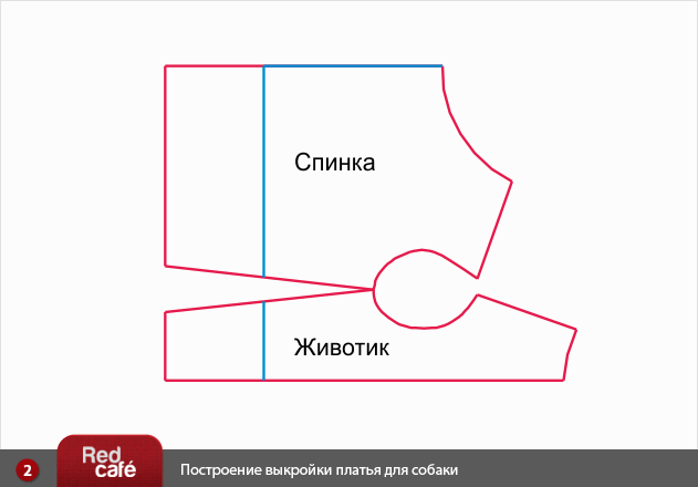Одежда для собак пошить выкройка Одежда для собак пошить выкройка